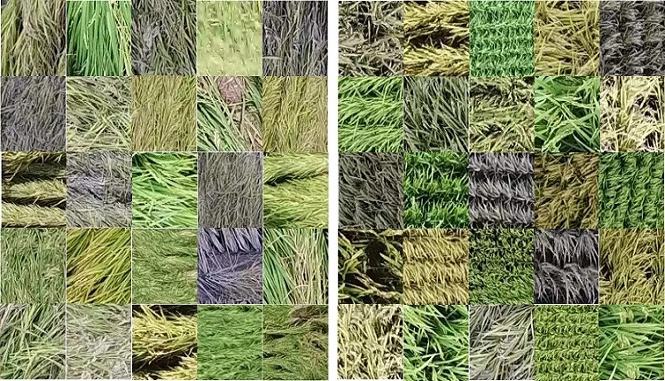 학습데이터셋 / 농촌진흥청