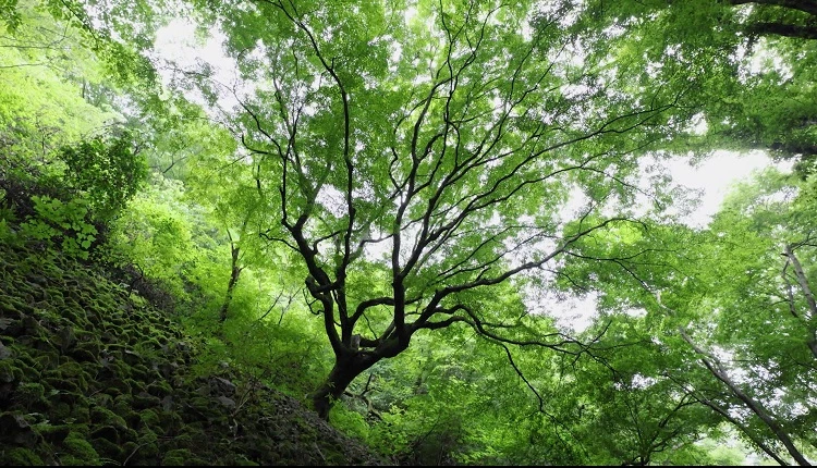 정읍시