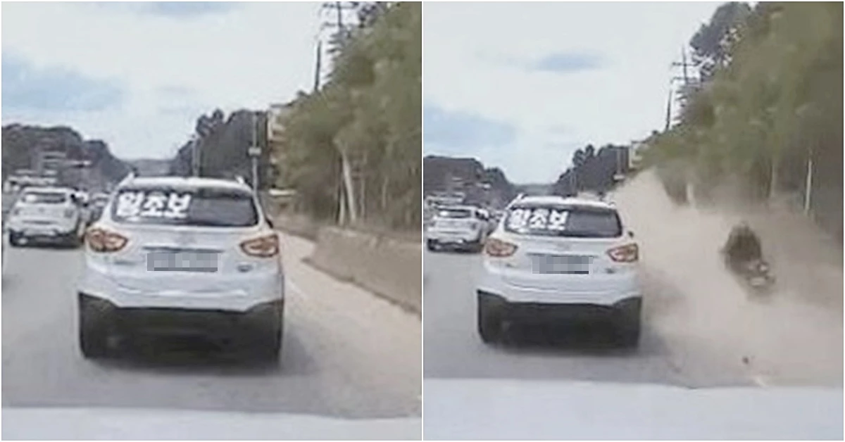 사고 당시 블랙박스에 찍힌 장면 / 커뮤니티 더쿠