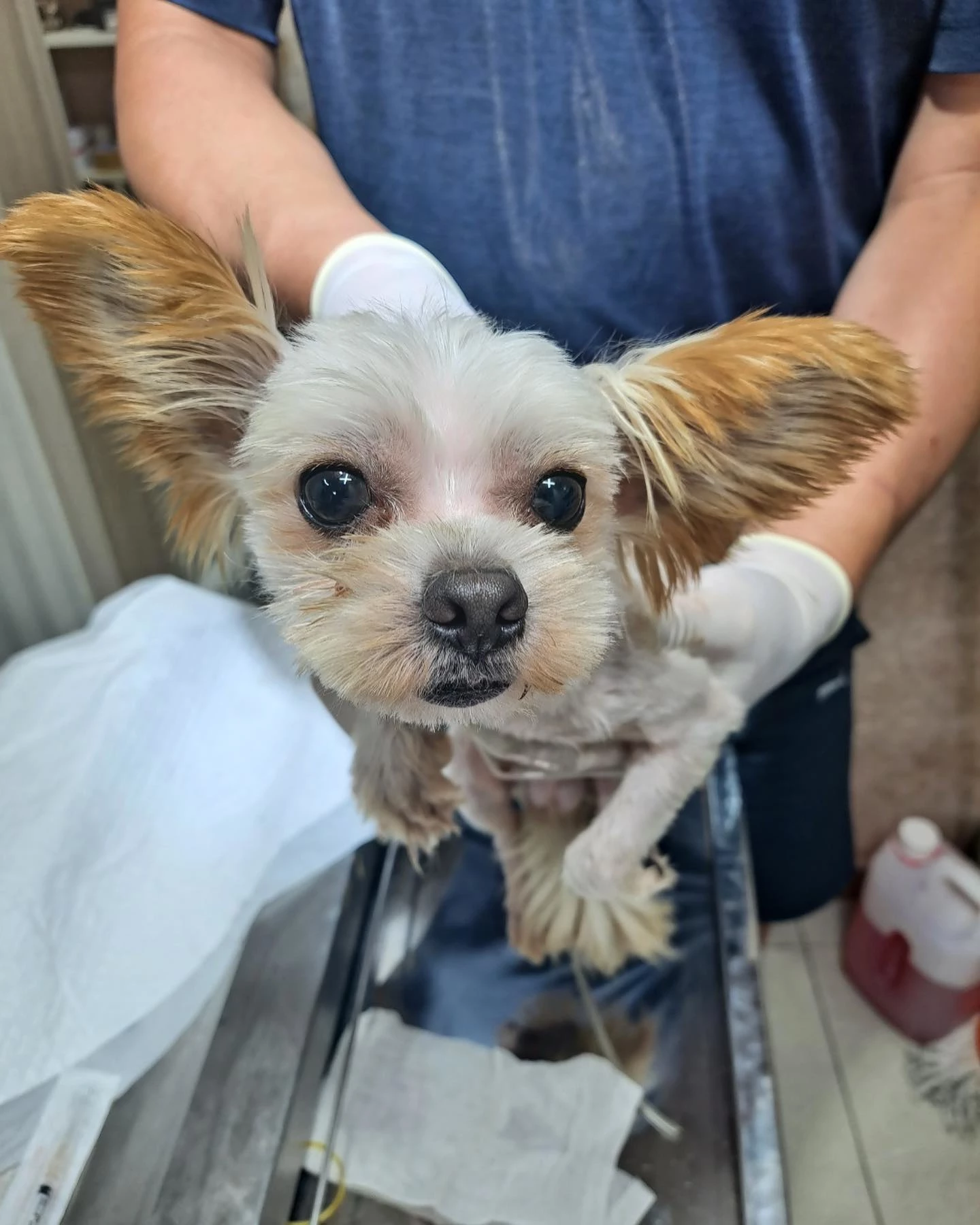 이하 케어 페이스북