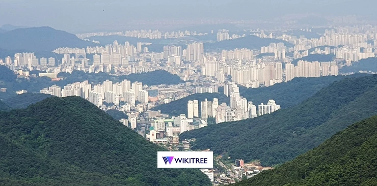 광주시