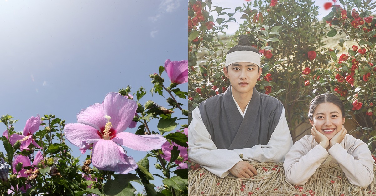 월요일(16일) 날씨, 서울 32도 무더위, 동해안 선선…제주도 120㎜ 폭우 - Vimarsana News