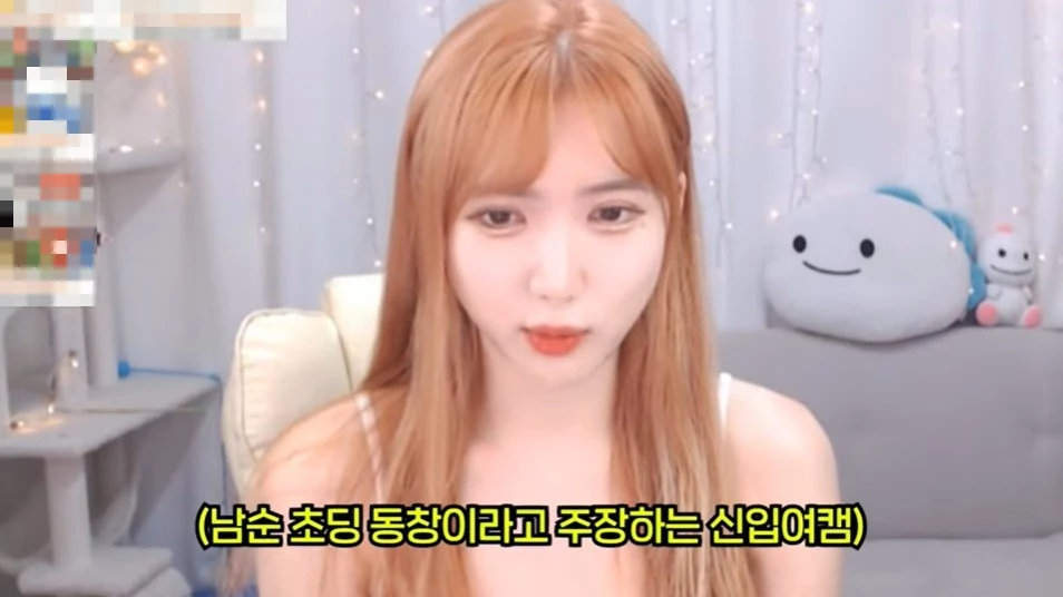 이하 유튜브 'NS 남순'