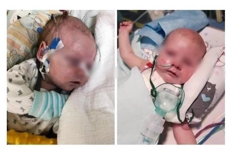 안드레이칙이 알린 생후 8개월 아기