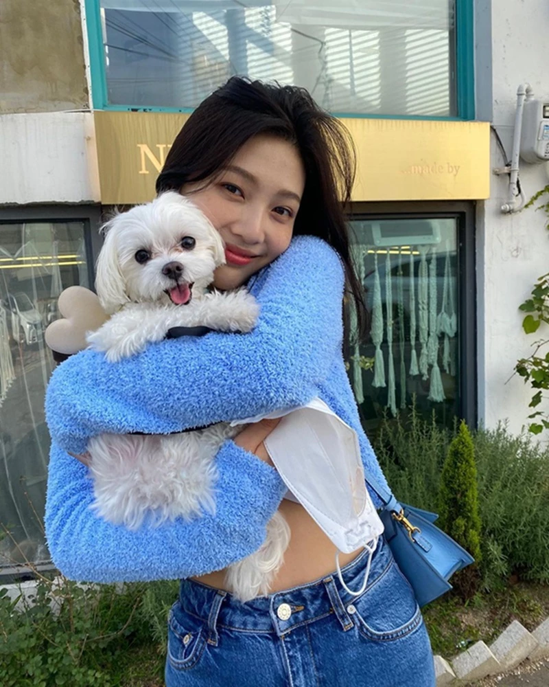 조이 인스타그램