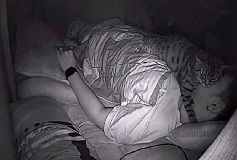 “수면무호흡증 확인하려고 침대에 CCTV 설치했는데 이게 뭔가요?”