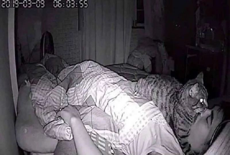 “수면무호흡증 확인하려고 침대에 CCTV 설치했는데 이게 뭔가요?”