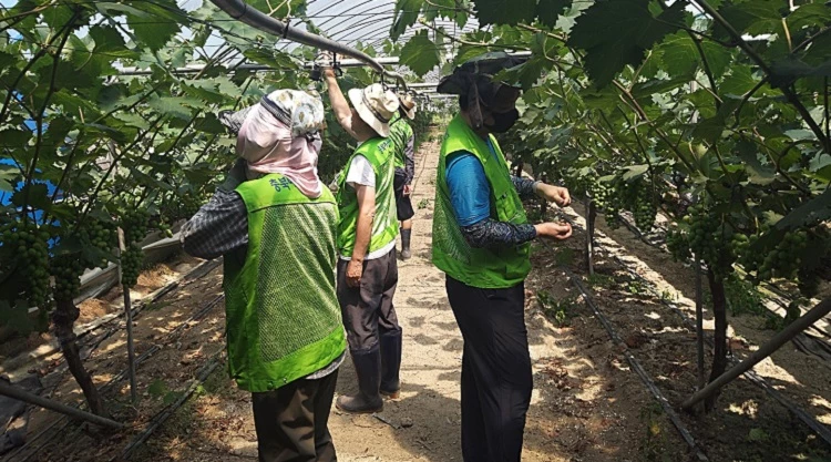 귀농귀촌인 교육 / 옥천군