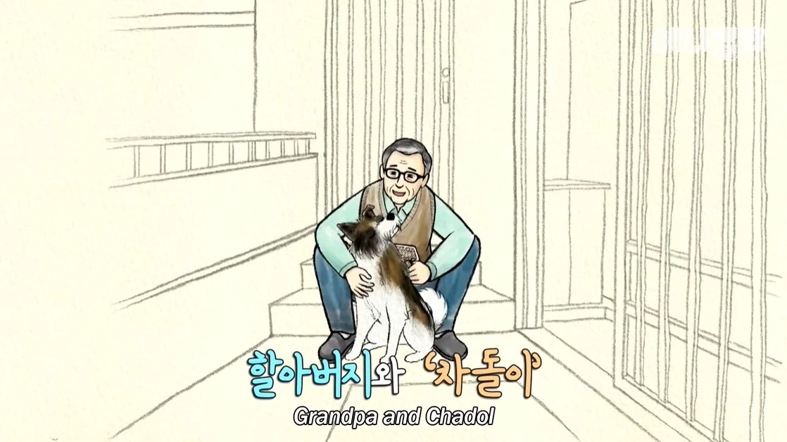 이하 유튜브 '애니뭘봐'