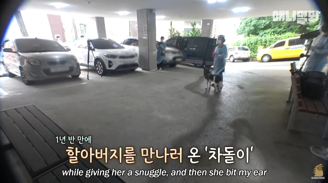 치매 걸린 할아버지가 반려견을 1년 만에 만나 보인 반응 (영상)