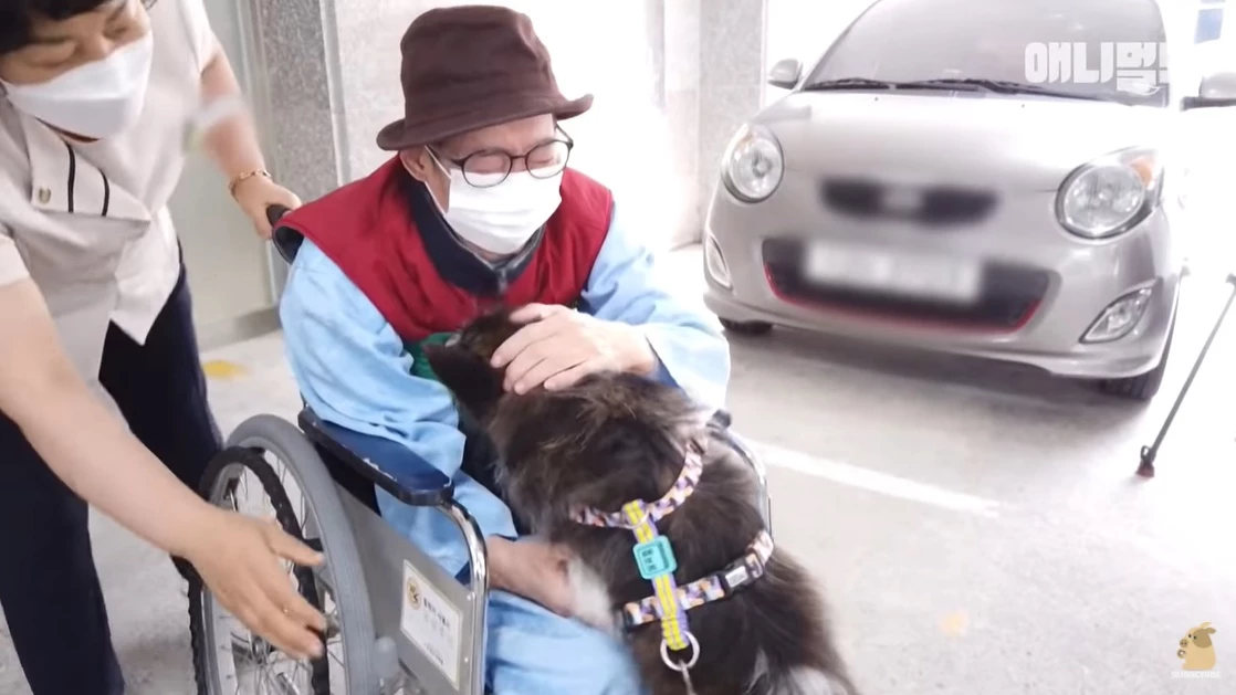 치매 걸린 할아버지가 반려견을 1년 만에 만나 보인 반응 (영상)
