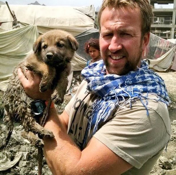 폴 파딩과 강아지 / 이하 Nowzad Dogs 홈페이지