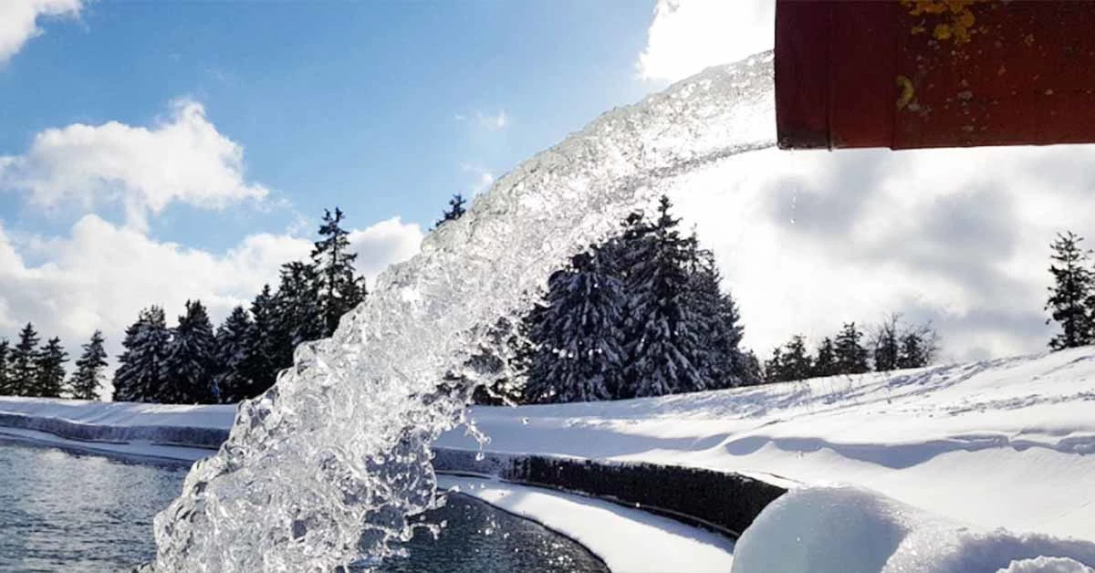 글과 관련 없는 픽사베이 자료사진입니다.