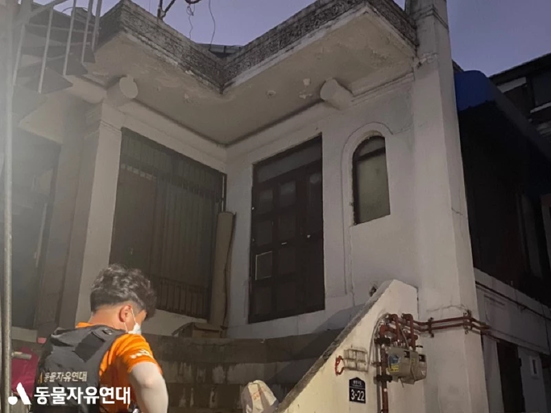 이하 동물자유연대
