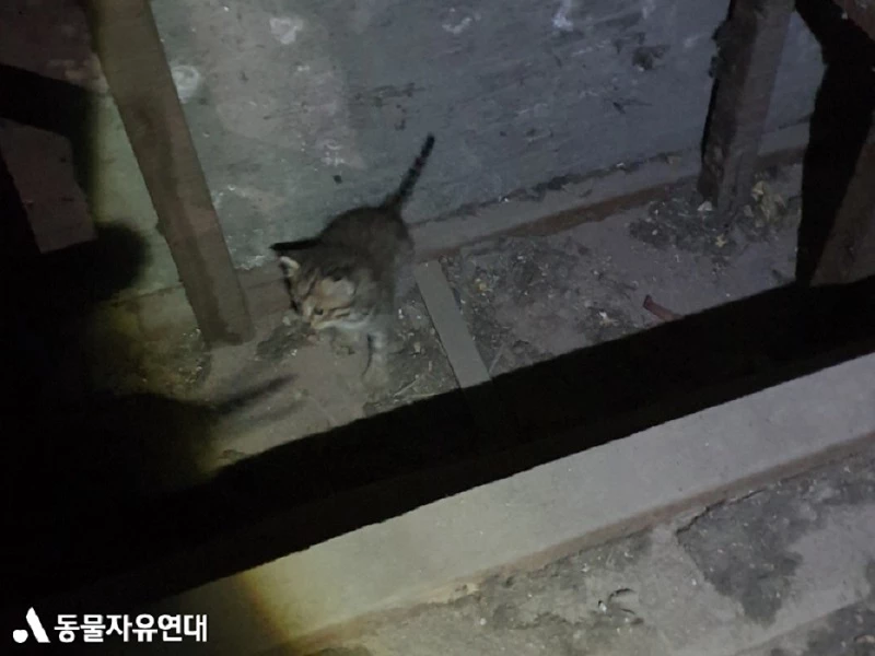 철거 5시간 남은 건물에 들어갔다... 놀라운 걸 발견했습니다 [함께할개]