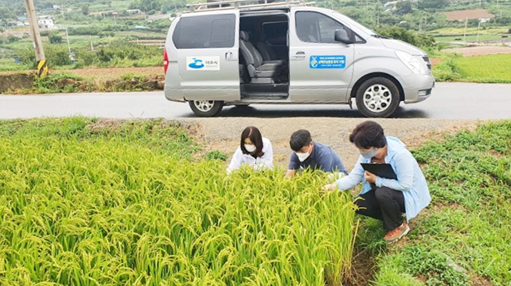 여수시 미래농업과 직원들이 병해충 예찰을 실시하고 있다.