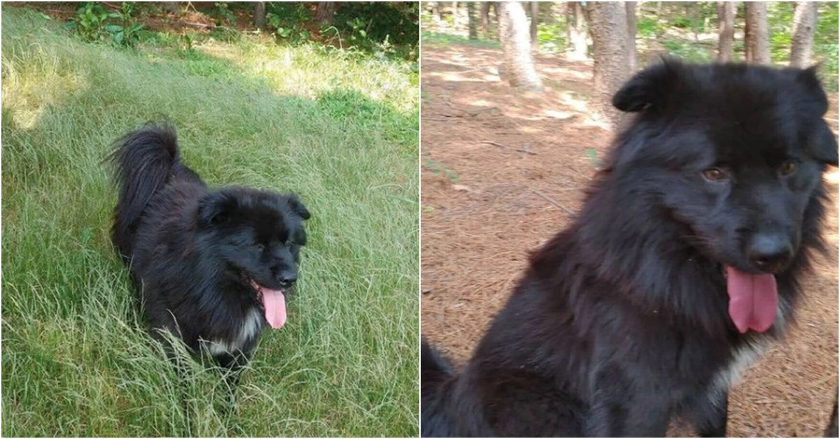 인스타그램 'yunmi6103'