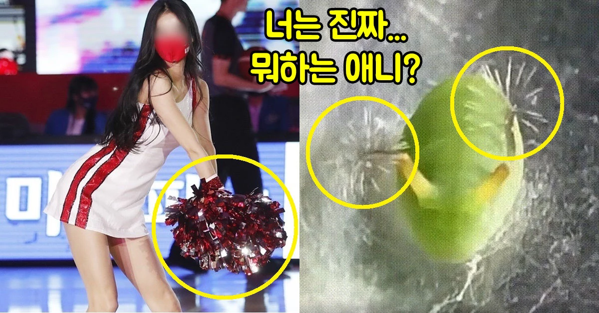 이하 유튜브, 'Shortistic'