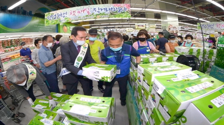 순창매실 직거래 행사 / 순창군