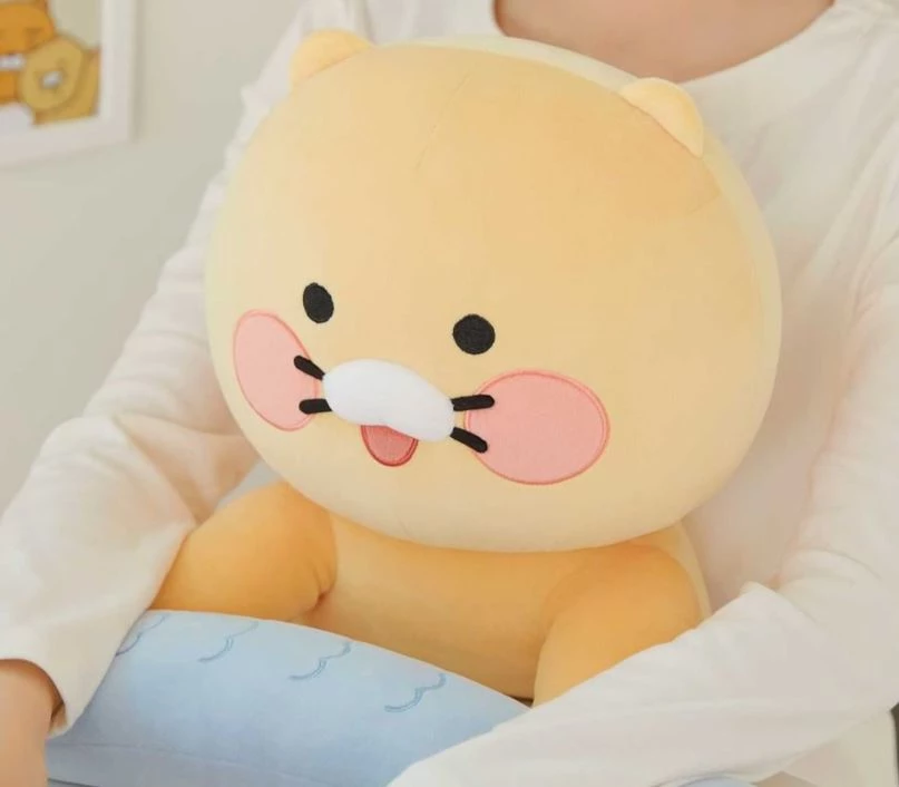 카카오프렌즈 인스타그램