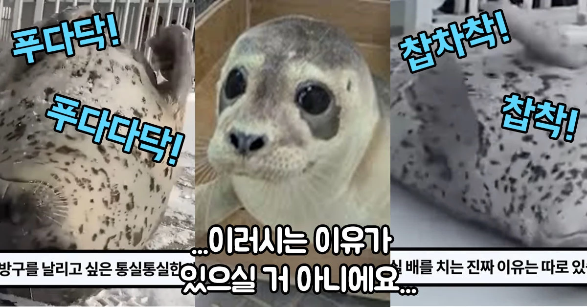 이하 유튜브, '다흑'