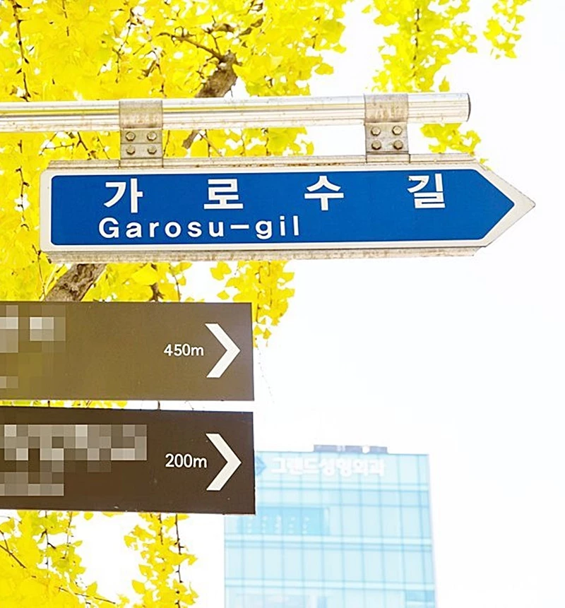 가로수길 자료 사진 / 셔터스톡