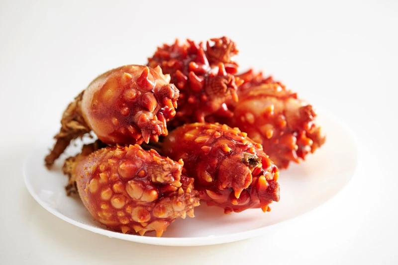 멍게. / 이하 셔터스톡