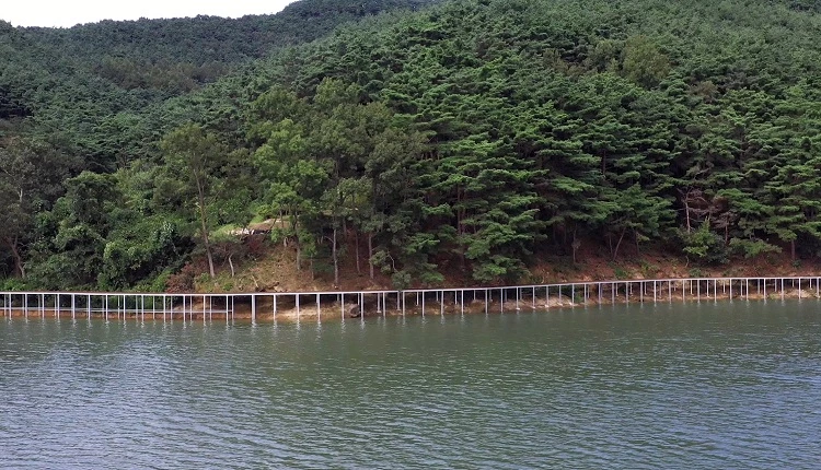 용산호 주변 수변길 / 정읍시