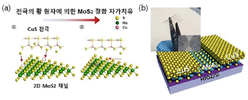 자가치유 반도체 소자 개발 (a) CuS 전극을 통한 MoS2 자가치유 모식도. CuS 전극의 황 원자들을 통해 MoS2의 결함을 채워 자가치유 특성을 발현함. (b) MoS2/CuS 트랜지스터 소자 및 유연 소자와 이의 동작 특성. / 성균관대