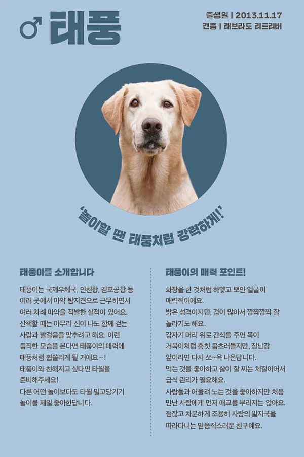 2. 태풍