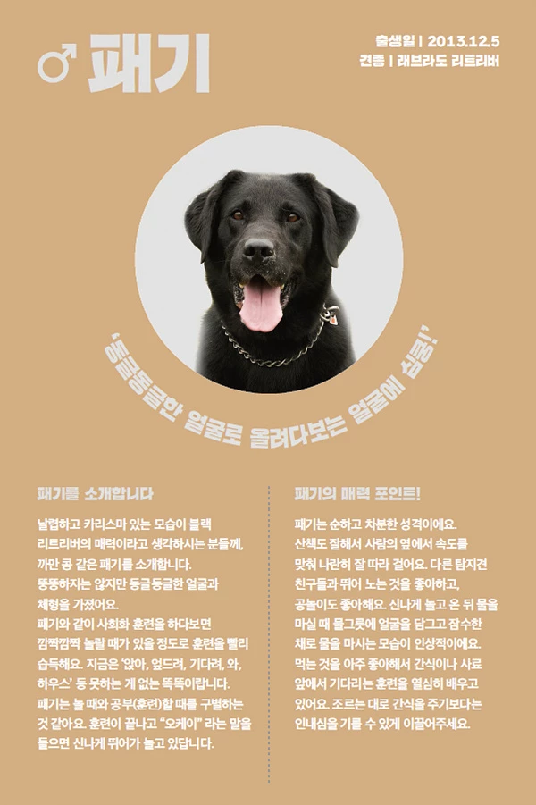 3. 패기