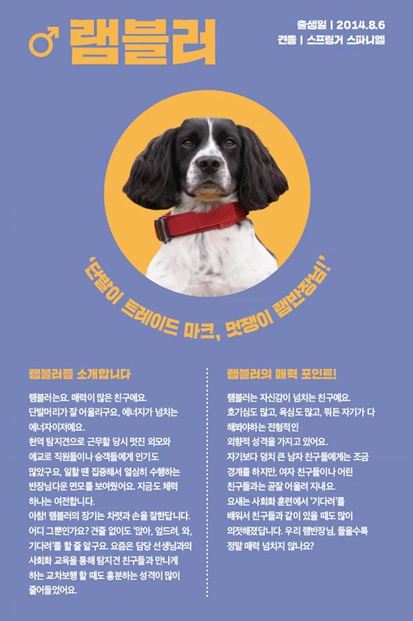 4. 램블러
