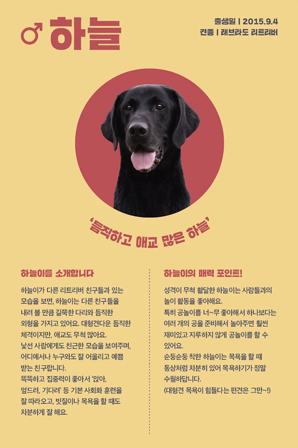 5. 하늘