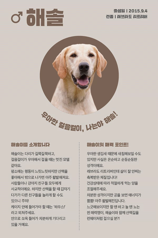 6. 해솔