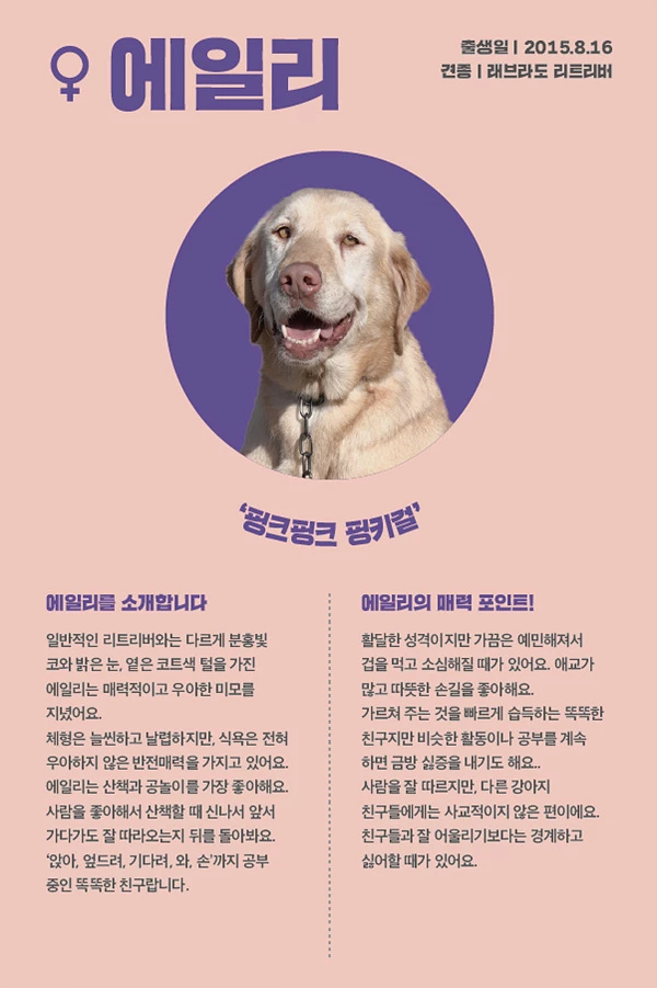 7. 에일리
