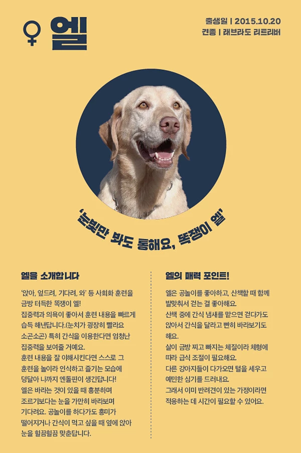 8. 엘