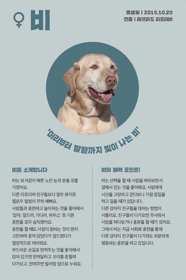 9. 비
