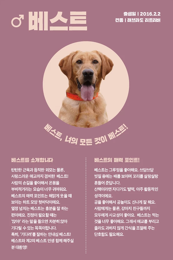 10. 베스트