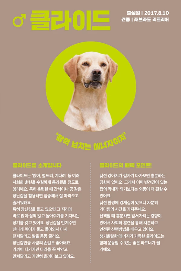 11. 클라이드
