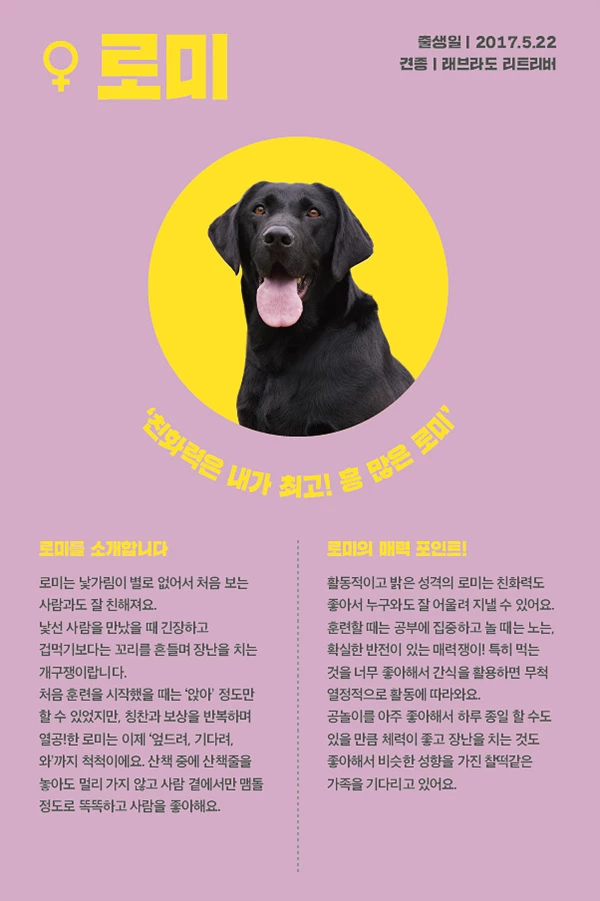 12. 로미