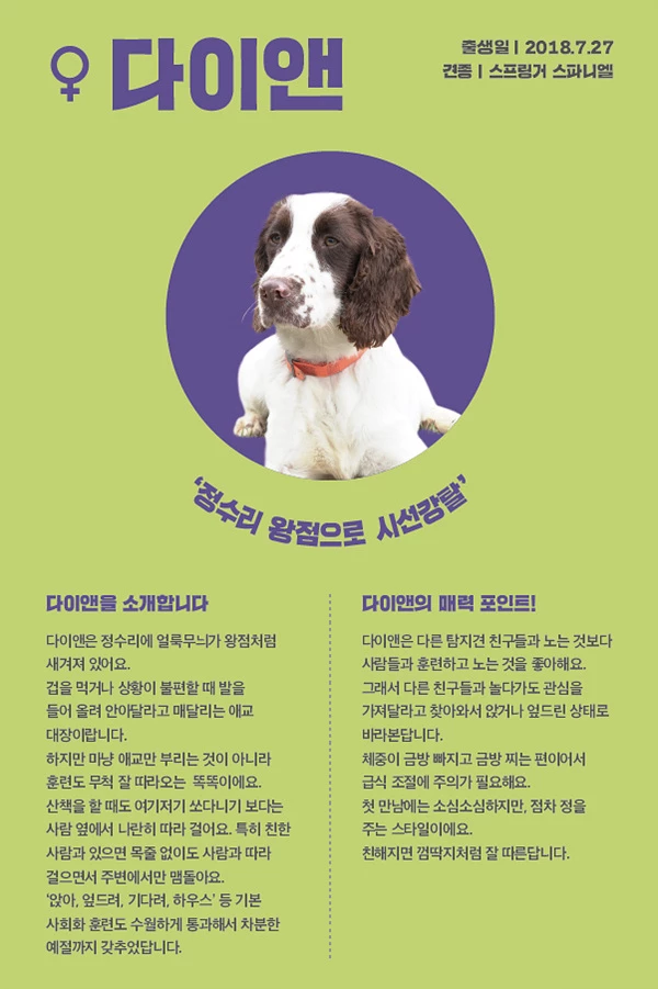 13. 다이앤