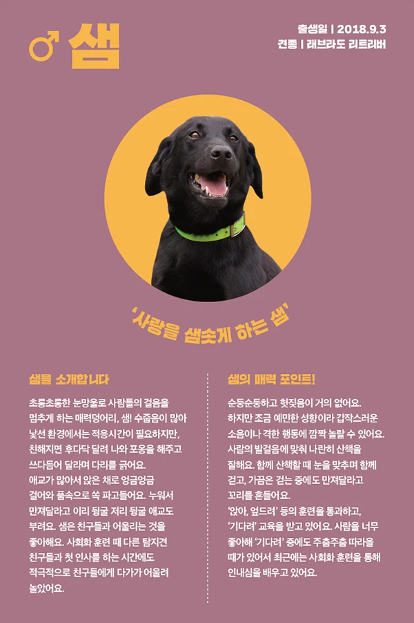 14. 샘