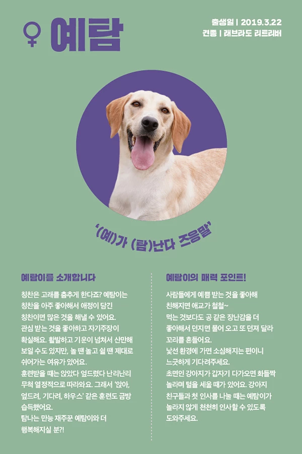 15. 예탐