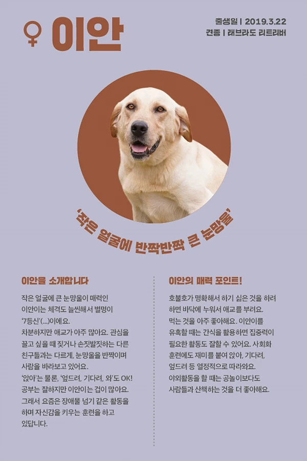 16. 이안