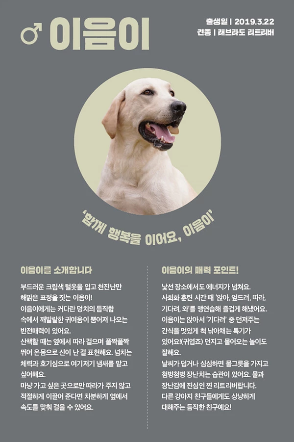 17. 이음이