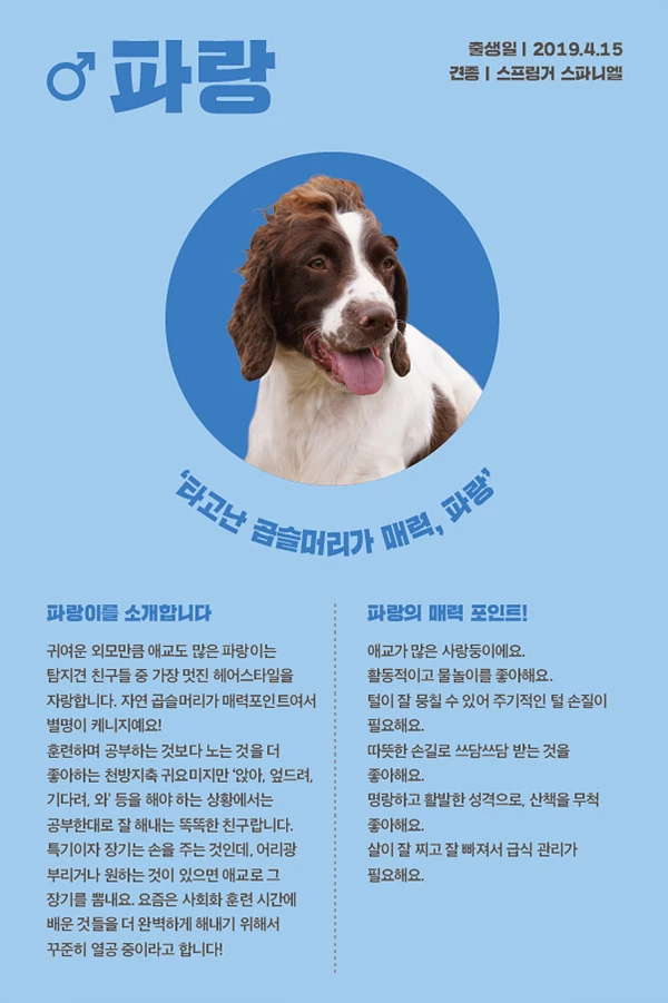 19. 파랑