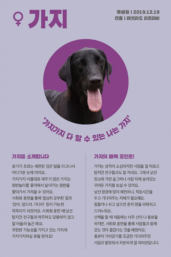 20. 가지