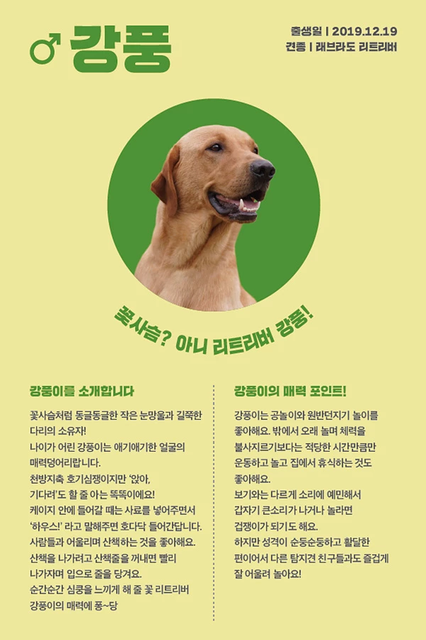21. 강풍