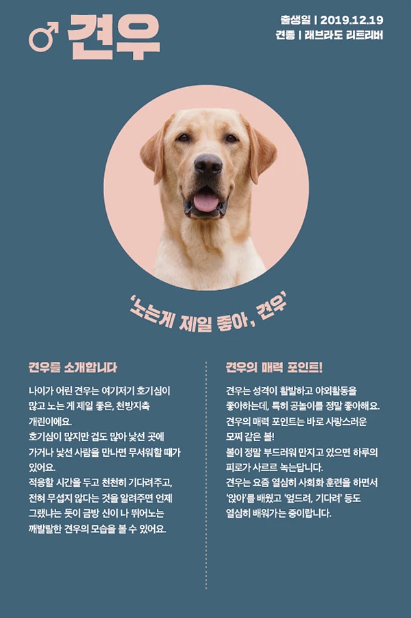 23. 견우
