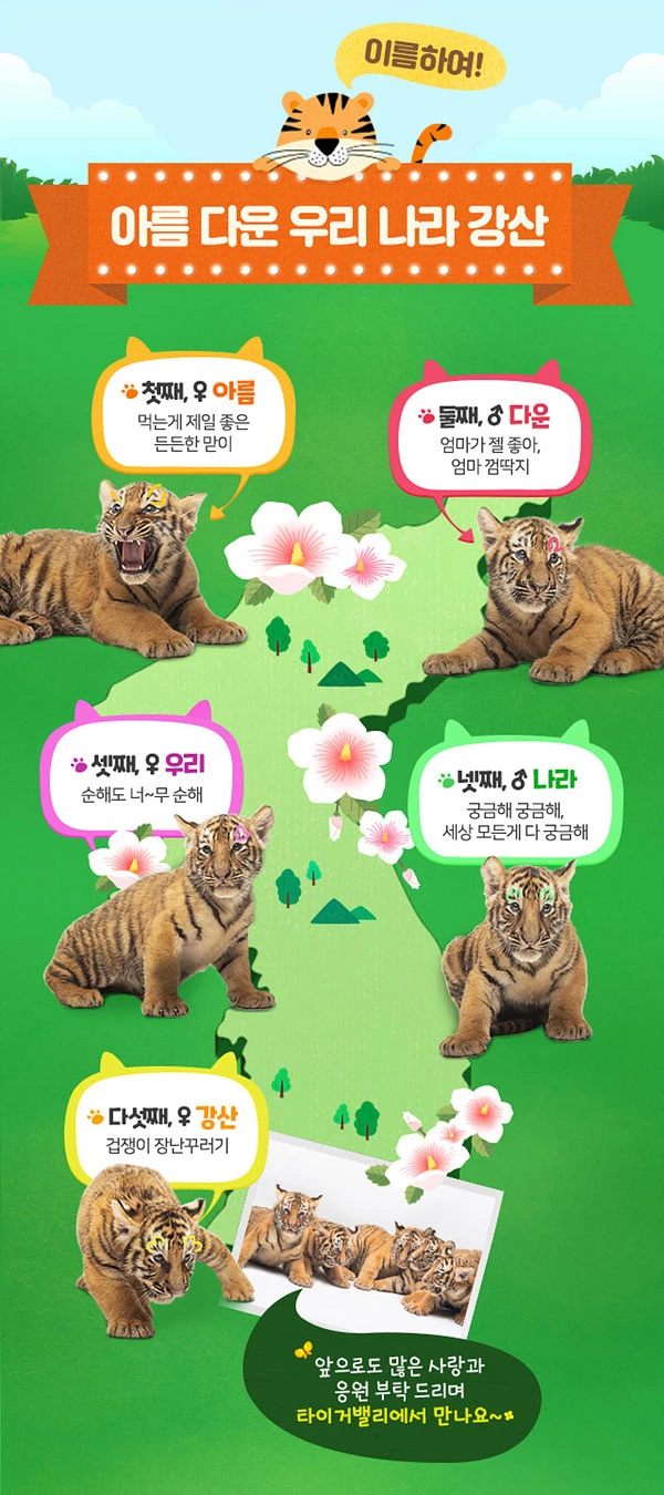 에버랜드